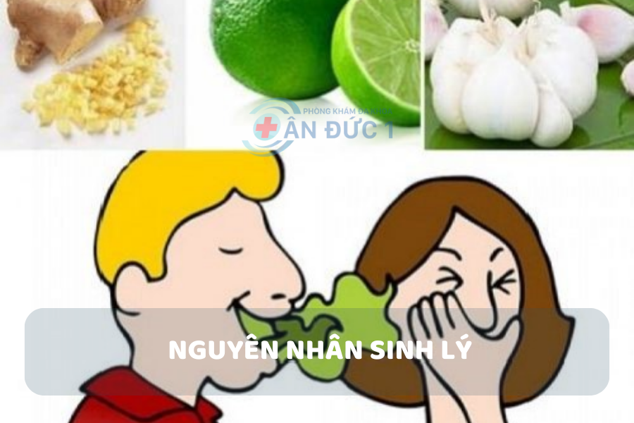 Nguyên nhân sinh lý