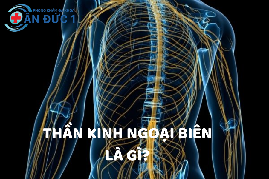 Phương Pháp Điều Trị