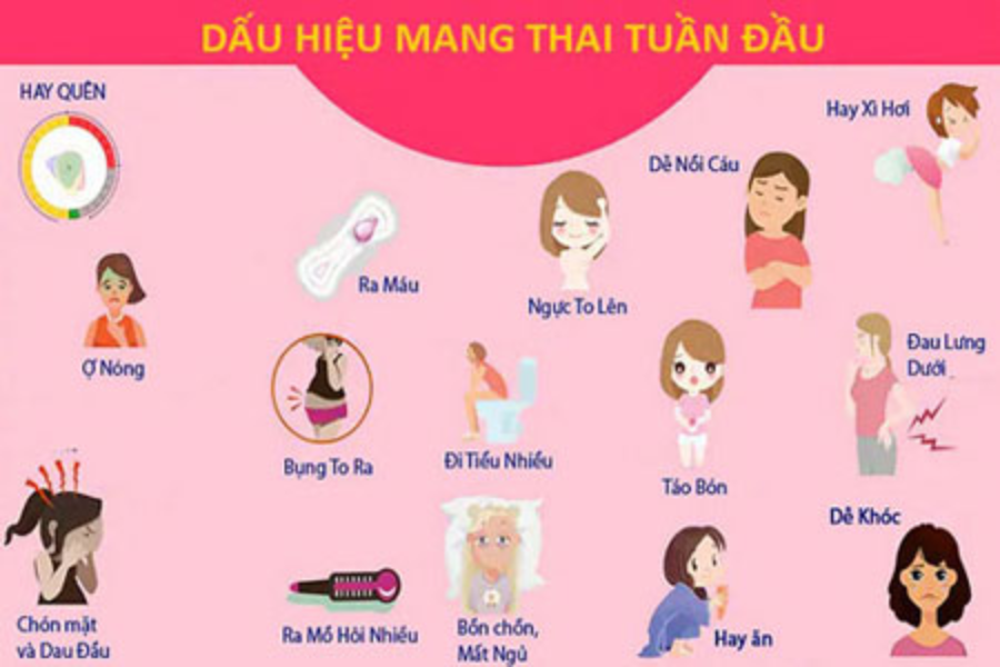 dấu hiệu nhận biết mang thai