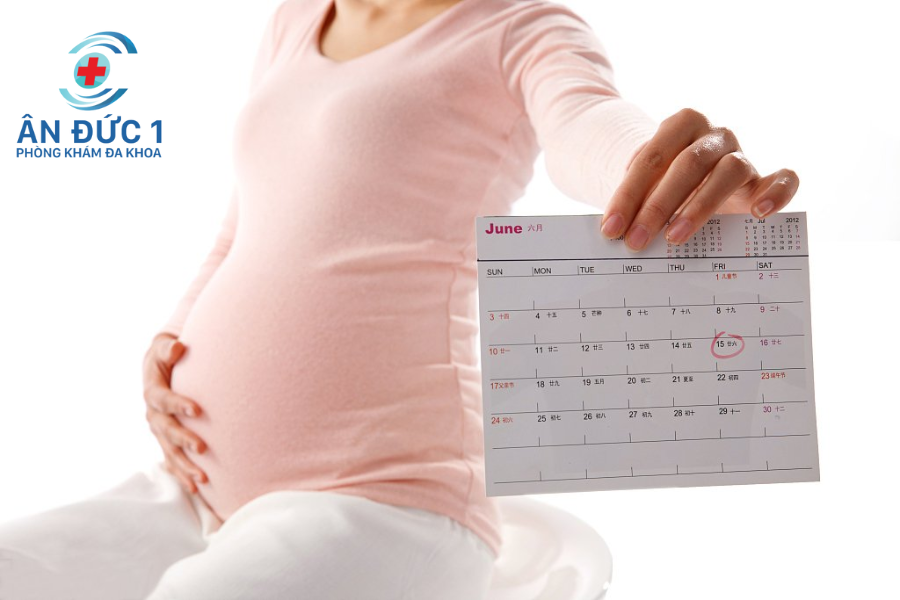 lịch khám thai định kỳ