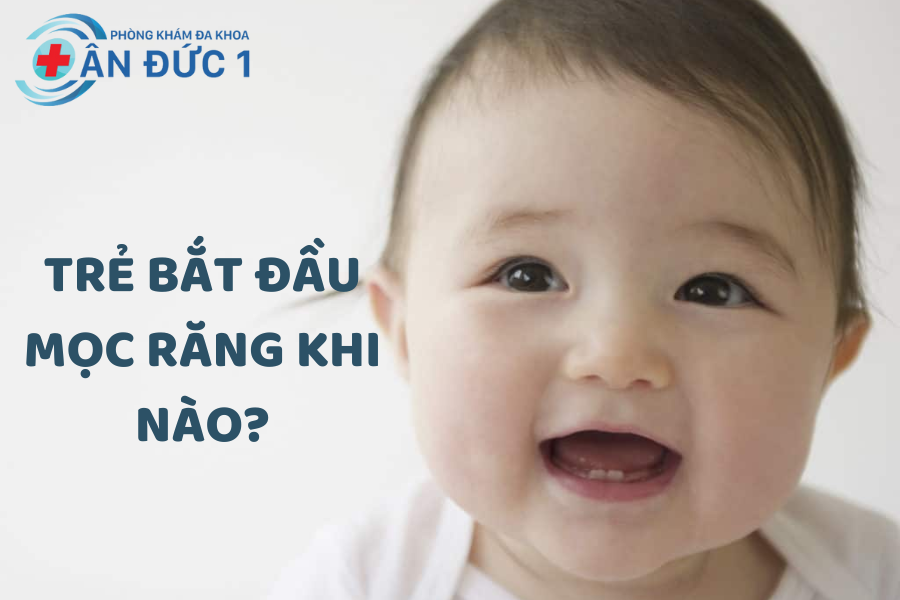 Trẻ bắt đầu mọc răng khi nào