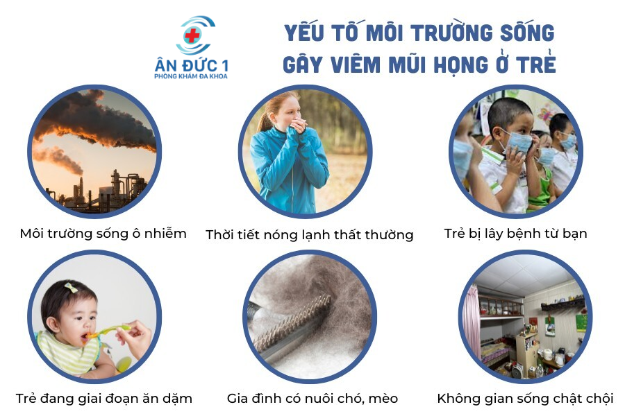 tai mũi họng do đâu