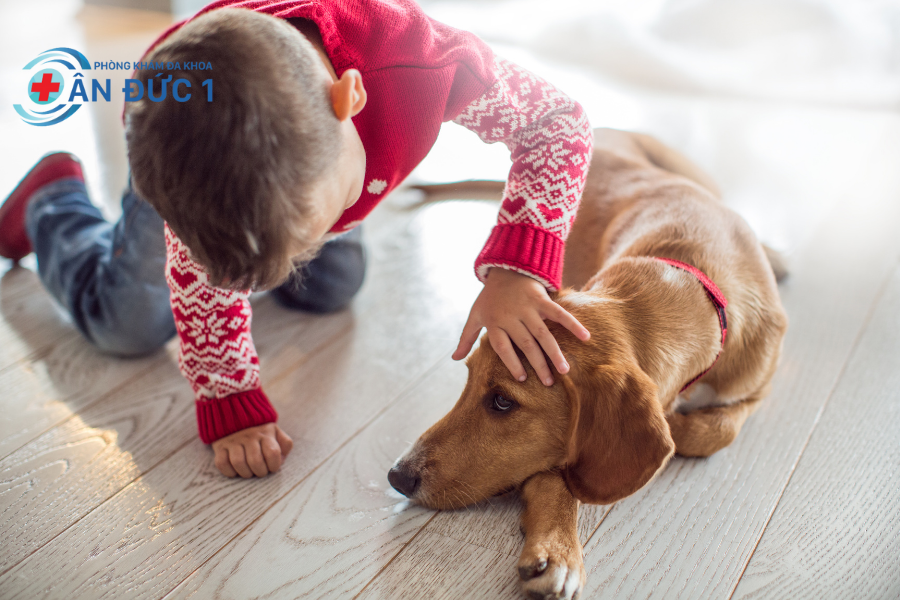Tránh tiếp xúc với động vật có lông
